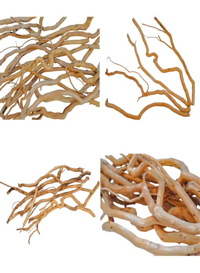 Azil Natural Aquarium Driftwood Root - Driftwood for Aquarium Decor, 250g (10″-15''), Fish Tanks, Terrariums, Aquascaping & Planted Tanks - Image 3